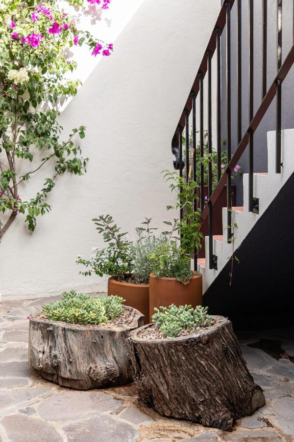 Rooftop Jacuzzi! Country-Style 4 Bedroom Cottage San Miguel de Allende Exterior foto